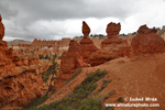 Bryce canyon (40xfoto)