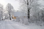 WINTER (1xfoto)